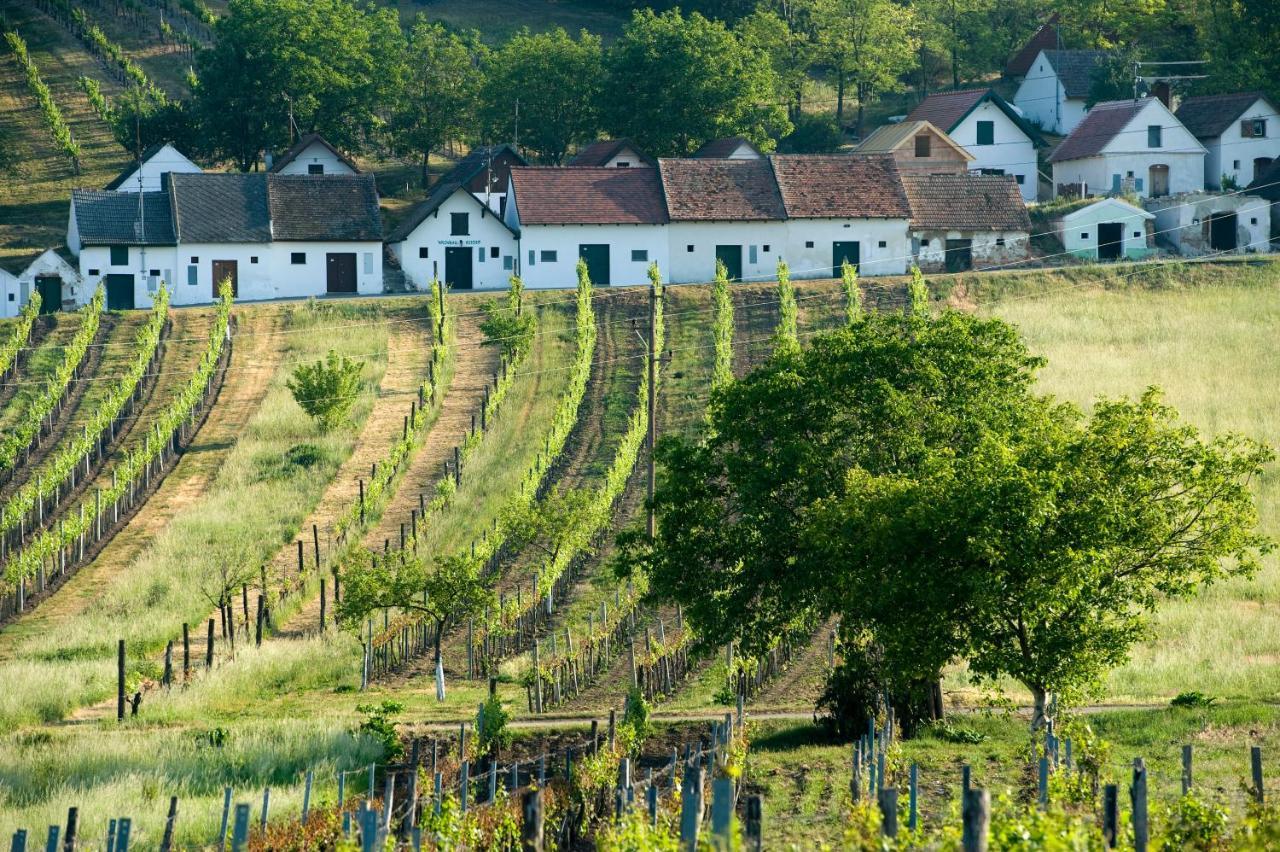 Weinhotel Rieder Poysdorf Esterno foto